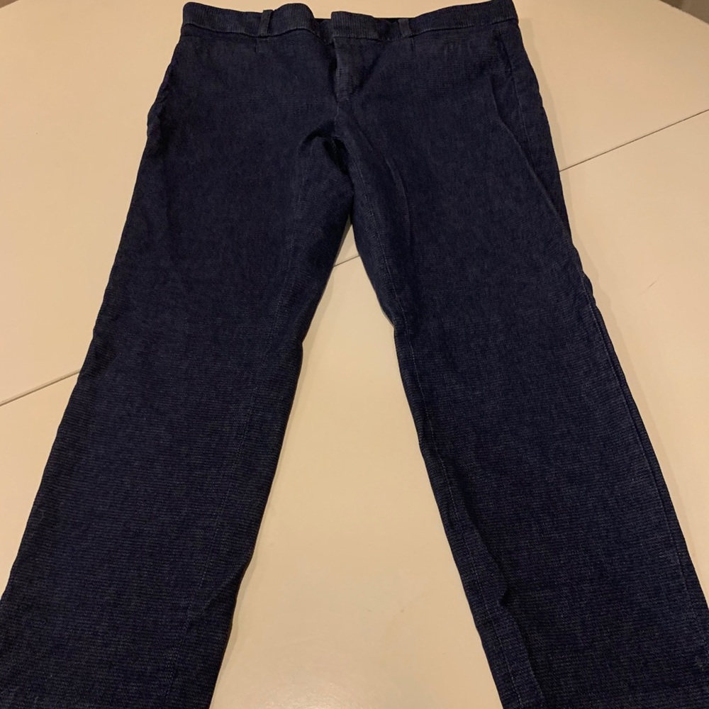 Banana Republic Sloan Capri Pants